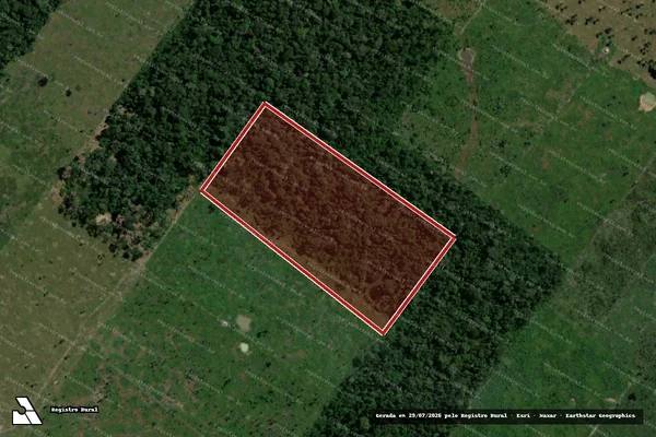 Imagem de satélite de Infração da Flora em Porto Velho - RO