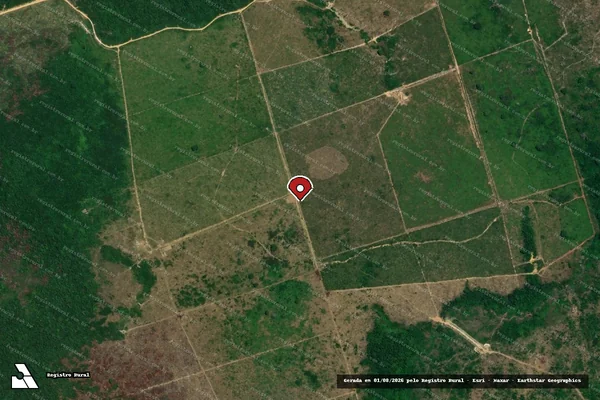 Imagem de satélite de Infração da Flora em Novo Progresso - PA (marcador da localização)