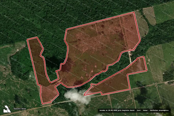 Imagem de satélite de Infração da Flora em Novo Progresso - PA