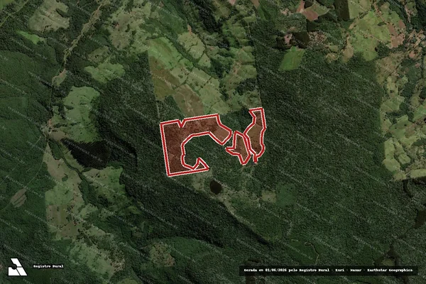 Imagem de satélite — Embargo IBAMA — Infração da Flora — Bituruna/PR
