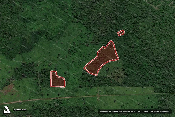 Imagem de satélite de Infração da Flora em São Félix do Xingu - PA