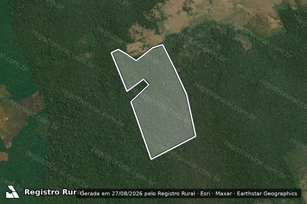 Imagem de satélite de Infração da Flora em Lábrea - AM