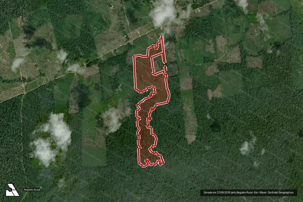 Imagem de satélite de Infração da Flora em Caroebe - RR