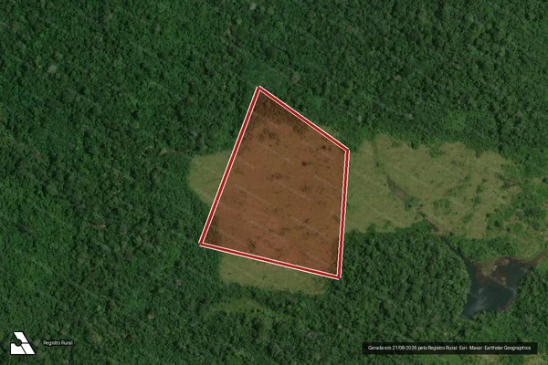 Imagem de satélite de Infração Ambiental em Rorainópolis - RR