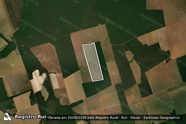 Imagem de satélite de Infração da Flora em Nova Maringá - MT