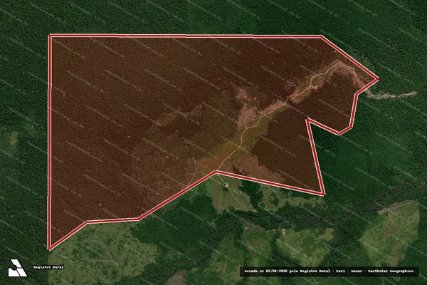 Imagem de satélite de Infração Ambiental em Moju - PA