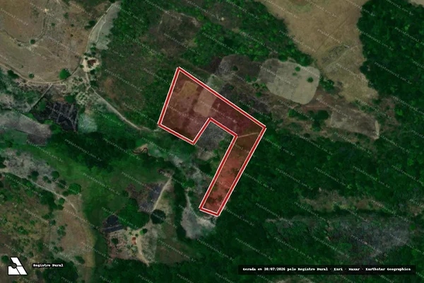 Imagem de satélite — Embargo IBAMA — Infração da Flora — Maragogi/AL