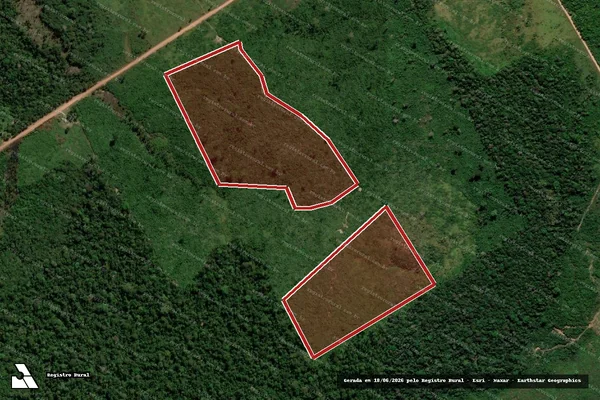 Imagem de satélite de Infração da Flora em Apuí - AM