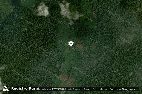 Imagem de satélite — Embargo IBAMA — Infração da Flora - Porto Velho/RO