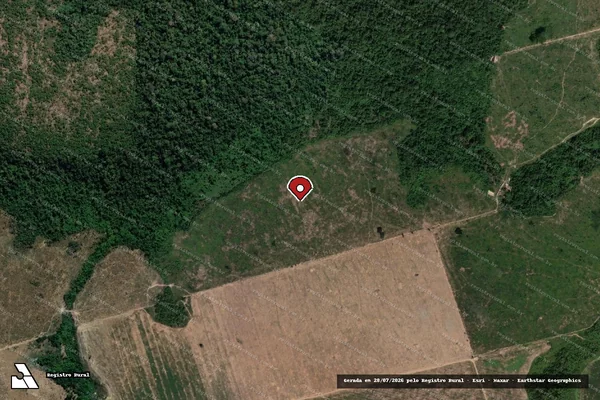 Imagem de satélite de Infração da Flora em Novo Progresso - PA (marcador da localização)