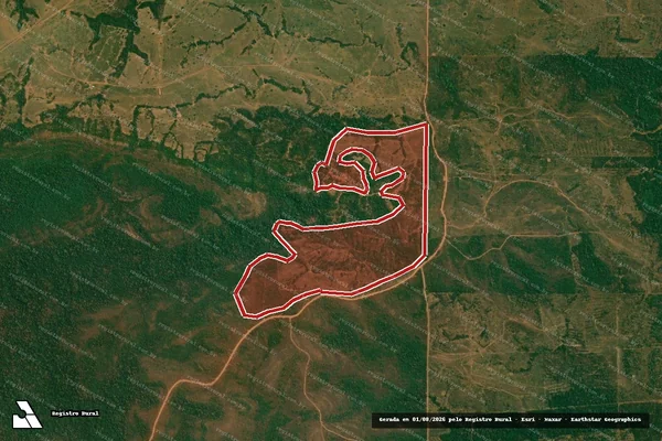 Imagem de satélite — Embargo IBAMA — Infração Ambiental - Alta Floresta D'Oeste/RO