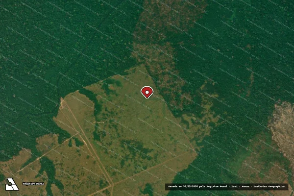 Imagem de satélite de Infração Ambiental em Boca do Acre - AM (marcador da localização)