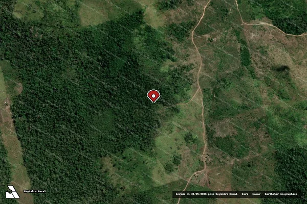 Imagem de satélite de Infração Ambiental em Placas - PA (marcador da localização)