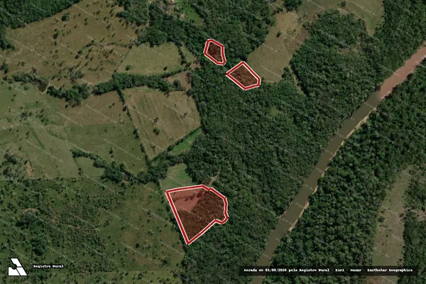 Imagem de satélite de Infração da Flora em Bela Vista - MS