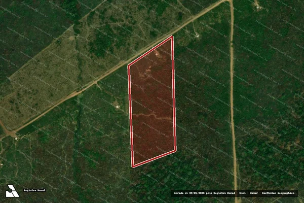 Imagem de satélite — Embargo IBAMA — Infração da Flora — Porto Velho/RO