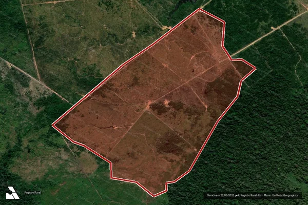 Imagem de satélite de Infração Ambiental em Manicoré - AM