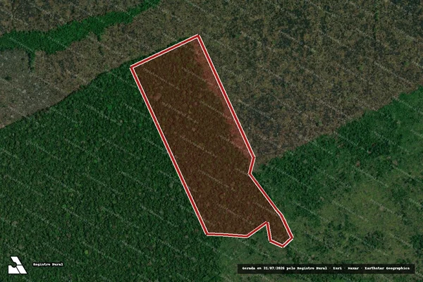Imagem de satélite de Infração da Flora em Lábrea - AM