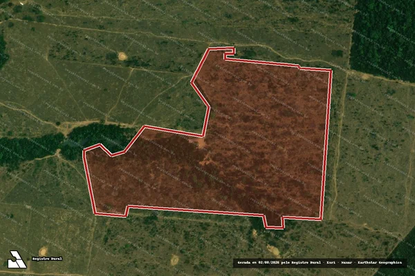 Imagem de satélite de Infração Ambiental em Porto Velho - RO