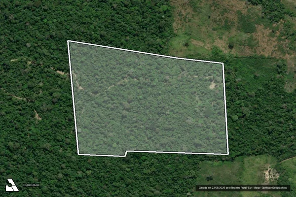 Imagem de satélite de Infração da Flora em Pacajá - PA