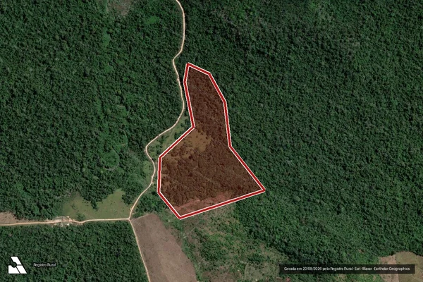 Imagem de satélite de Infração da Flora em Altamira - PA