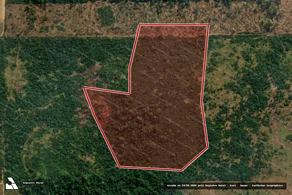 Imagem de satélite de Infração da Flora em Porto Velho - RO