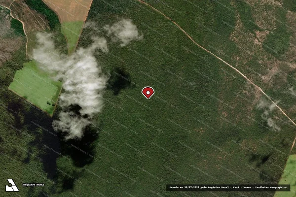 Imagem de satélite de Infração da Flora em Natividade - TO (marcador da localização)
