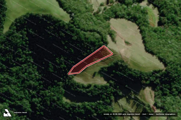 Imagem de satélite de Infração da Flora em Dona Francisca - RS