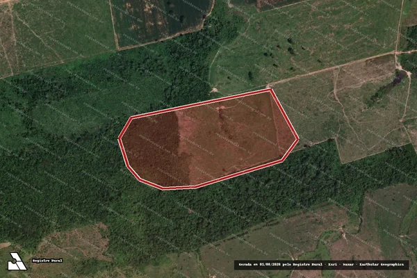 Imagem de satélite de Infração Ambiental em Novo Progresso - PA