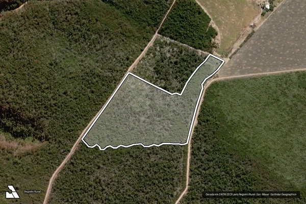 Imagem de satélite de Infração da Flora em Sebastião Barros - PI