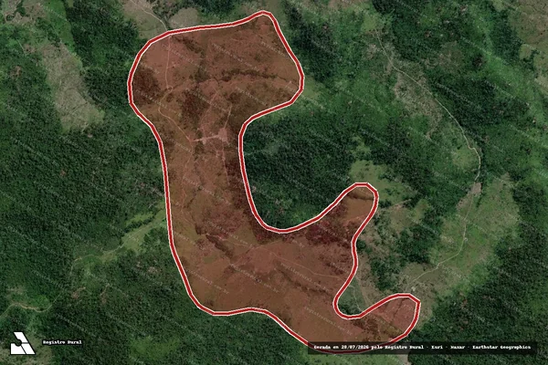 Imagem de satélite de Infração da Flora em Novo Progresso - PA