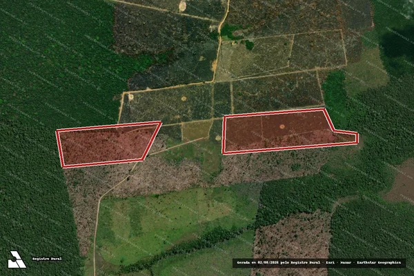 Imagem de satélite de Infração da Flora em Porto Velho - RO