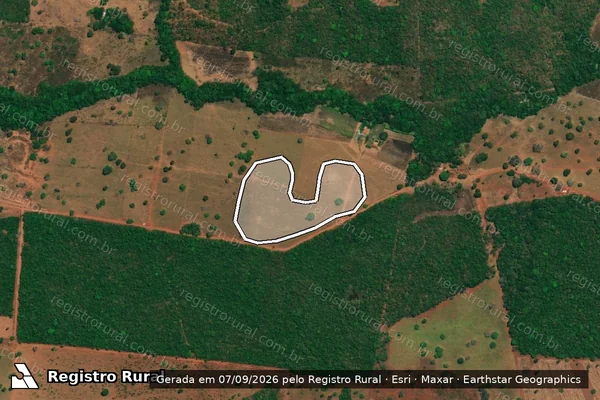 Imagem de satélite — Embargo IBAMA — Infração Ambiental - Palmeirópolis/TO