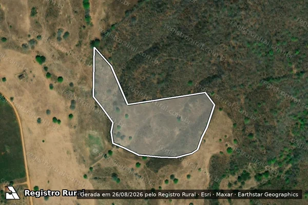Imagem de satélite de Infração da Flora em Palmeira dos Índios - AL