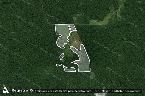 Imagem de satélite de Infração da Flora em Mojuí dos Campos - PA