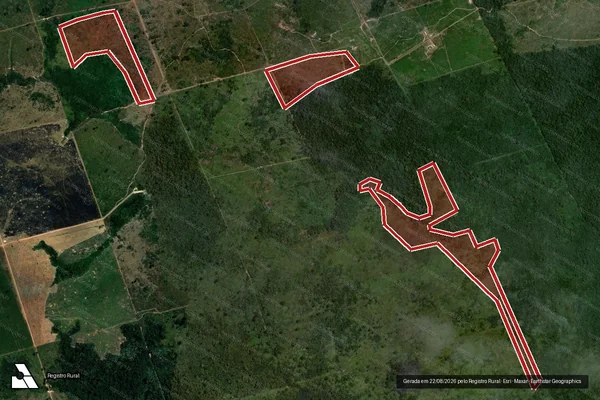 Imagem de satélite de Infração da Flora em Altamira - PA