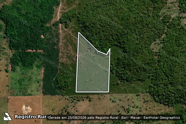 Imagem de satélite de Infração da Flora em Peixoto de Azevedo - MT