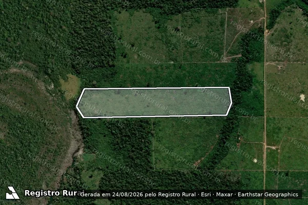 Imagem de satélite de Infração da Flora em Porto Velho - RO