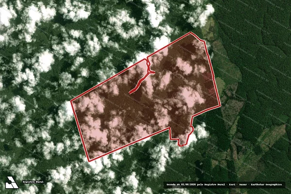 Imagem de satélite de Infração da Flora em Portel - PA