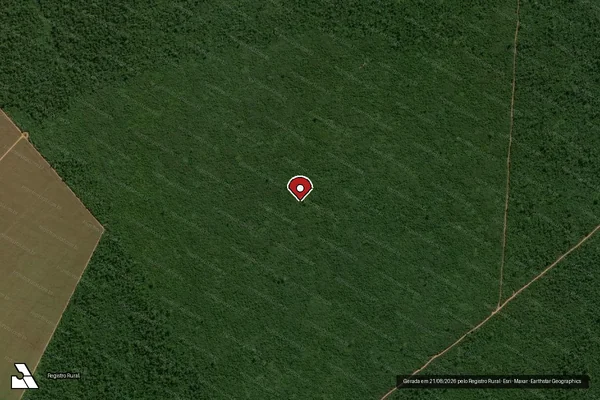 Imagem de satélite de Infração da Flora em União do Sul - MT (marcador da localização)