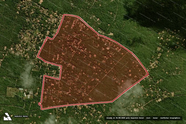 Imagem de satélite — Embargo IBAMA — Infração Ambiental — Crato/CE