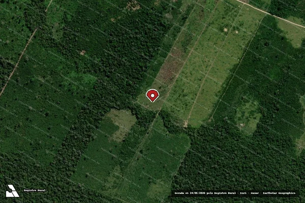 Imagem de satélite de Infração Ambiental em Buritis - RO (marcador da localização)