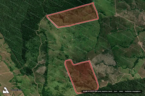 Imagem de satélite de Infração da Flora em Novo Progresso - PA