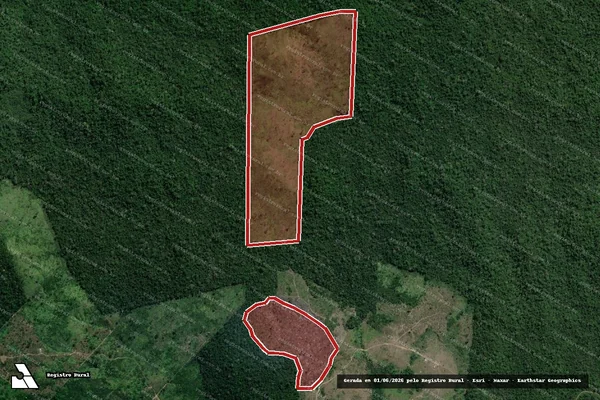 Imagem de satélite de Infração da Flora em Pacajá - PA