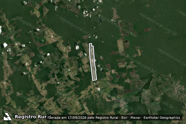 Imagem de satélite — Embargo IBAMA — Infração Ambiental - Manicoré/AM