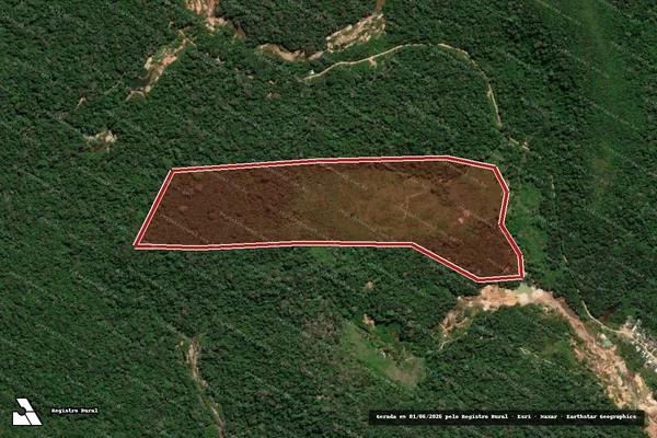 Imagem de satélite de Infração Ambiental em Itaituba - PA