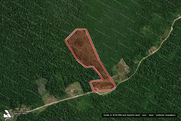 Imagem de satélite de Infração Ambiental em Porto Velho - RO