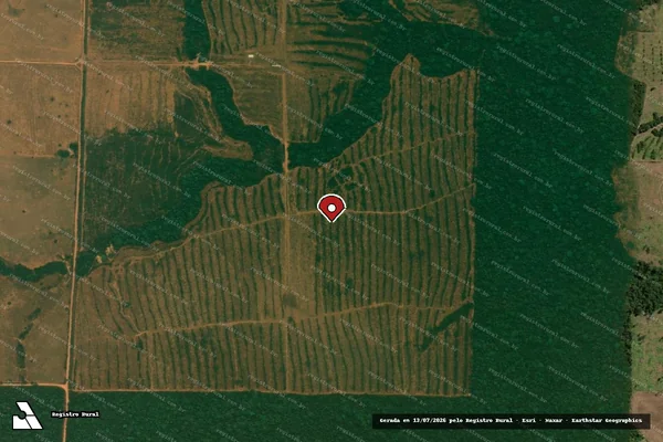Imagem de satélite de Infração da Flora em Alta Floresta - MT (marcador da localização)