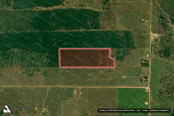 Imagem de satélite de Infração da Flora em Machadinho D'Oeste - RO