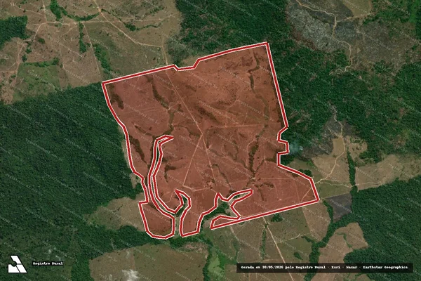 Imagem de satélite de Infração Ambiental em Novo Progresso - PA
