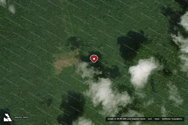 Imagem de satélite de Infração Ambiental em Santarém - PA (marcador da localização)